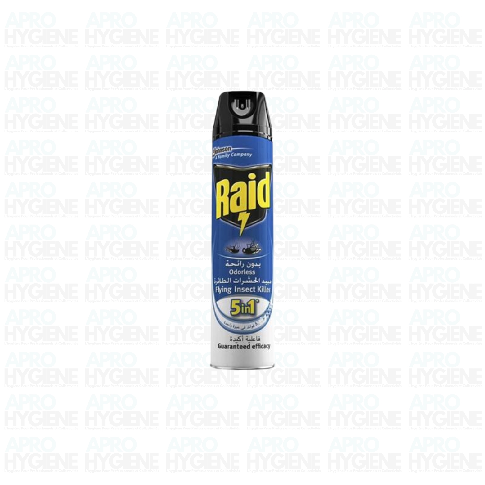 Raid Insecticide 300 ml